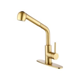 Utility Sink Faucets Single-Handle Pull-Out Laundry Faucet with Dual Spray Function in Stainless Spot Resistant Gold